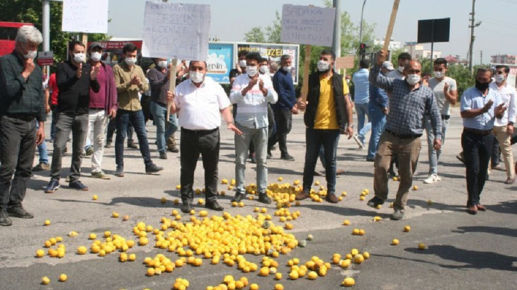 Mersin Erdemli'de limon üreticisi yol kapatıp eylem yaptı