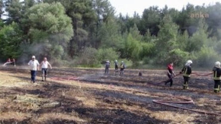 Muğla Menteşe'de yanan tarlada emekli savcının cesedi bulundu