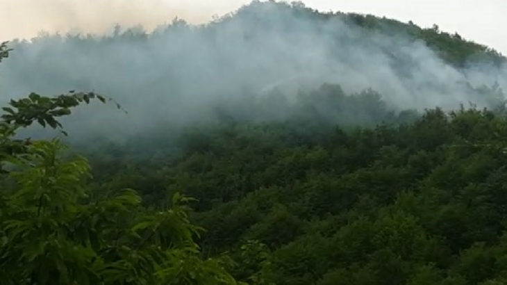 Ordu’da altın madeni çevresinde orman yangını: 