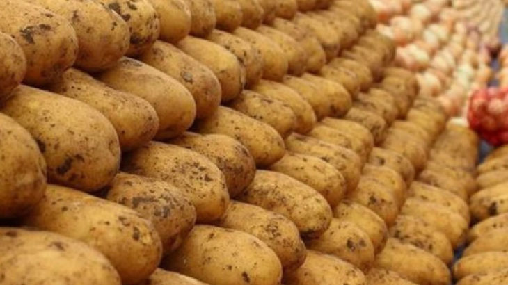 Mısır'dan ithal patatesler, üretimin en çok olduğu Niğde'ye getirildi