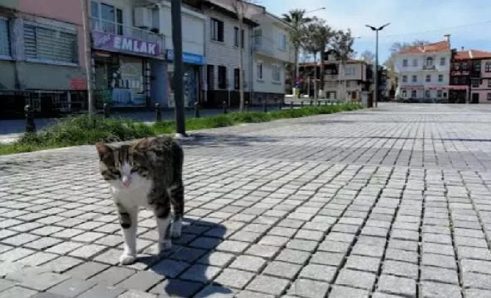 4 günlük sokağa çıkma yasağında üç il muaf tutuldu