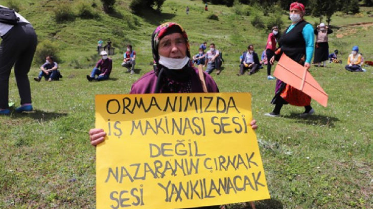 Trabzon Çayırbağı'nda salgın fırsatçılığına tepki: Ormanlarımızı talan ettirmeyeceğiz!