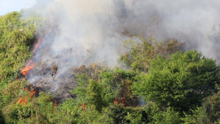 Rize'de orman yangınına yol olmadığı için müdahale edilemiyor