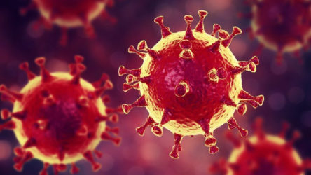 Dünya genelinde koronavirüsten hayatını kaybedenlerin sayısı 400 bini geçti