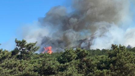 Adana'daki orman yangını hala söndürülemedi