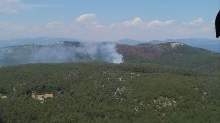 Milas'ta orman yangını!