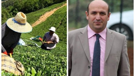 Trabzon'da çay toplarken yılan tarafından ısırılan öğretmen hayatını kaybetti