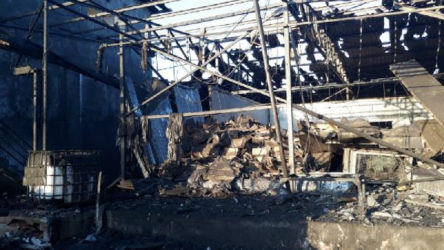 Salyangoz işleme fabrikasında patlama: 1 işçi hayatını kaybetti