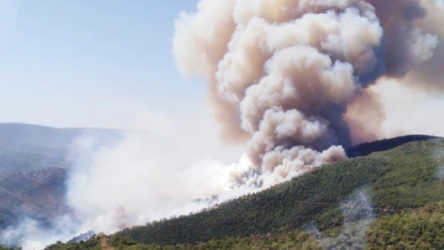 İzmir’de orman yangını ile ilgili bir şüpheli gözaltına alındı