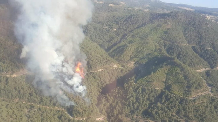 Manisa Ahmetli'de orman yangını