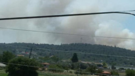 İzmir Urla ve Muğla Seydikemer'de orman yangınları