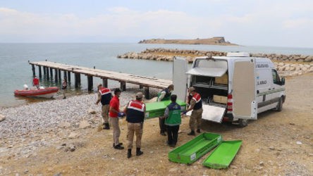 Van Gölü'nde 6 sığınmacının daha cesedi bulundu