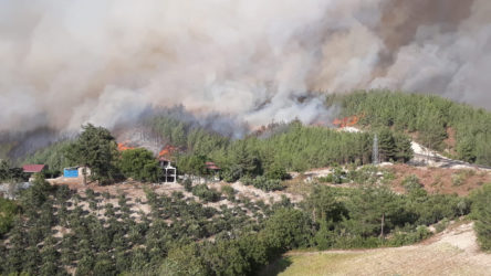 Adana'daki yangını söndürme çalışmaları devam ediyor: 12 ev alev aldı