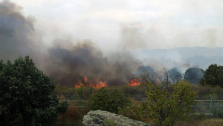 Bulgaristan sınırında yangın: Alevler Türkiye'ye sıçrayabilir