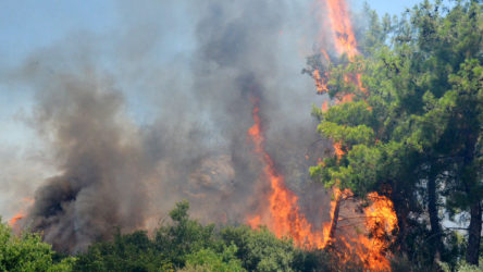 İçişleri Bakanlığı'ndan valiliklere orman yangınları genelgesi
