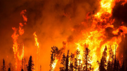 Adana Kozan'daki orman yangını sebebiyle 6 köy boşaltıldı