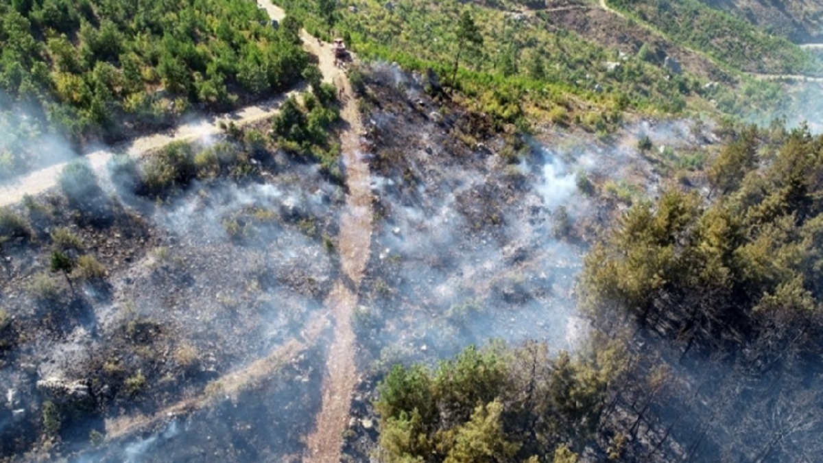 Adana'daki yangın kontrol altına alındı
