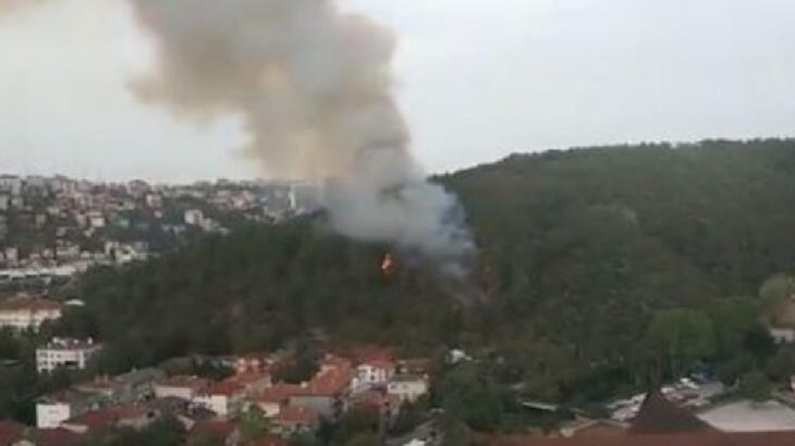 Anadolu Hisarı'nda orman yangını