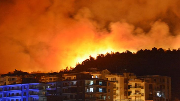 İzmir Dikili'de orman yangını: Yayılan dumanlar ilçeyi kapladı