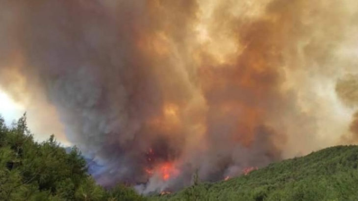 Hatay Samandağ'da orman yangını: 5 saattir müdahale sürüyor
