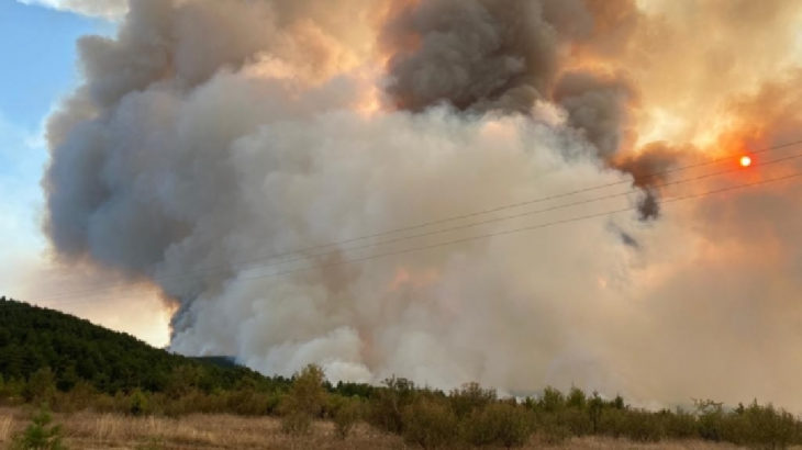 Kastamonu'da orman yangını: Yerleşim yerine sıçradı
