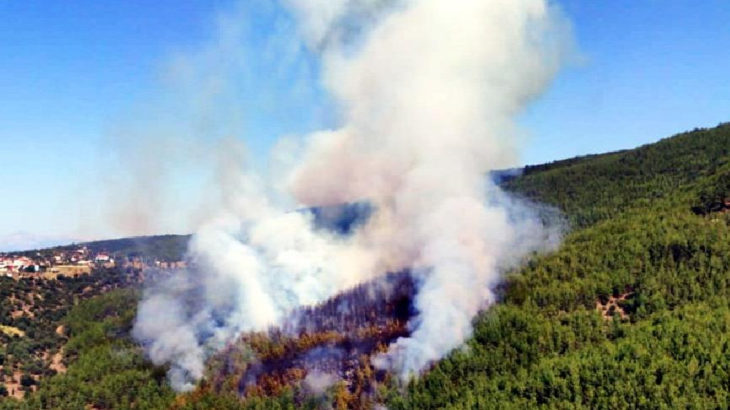 Muğla Kavaklıdere'de aynı anda 4 orman yangını