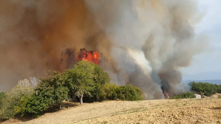 Osmaniye’de ormanlık alanda yangın