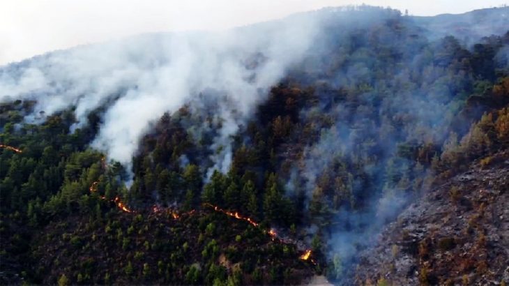 Anamur'daki yangında 150 hektar alan zarar gördü