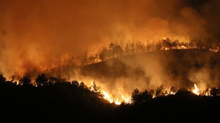 Hatay'da orman yangınları devam ediyor