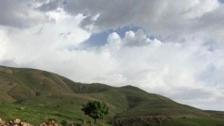 Tokuş köyü sakinleri taş ocağı projesine karşı çıkıyor