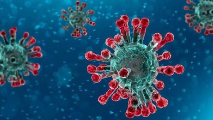 Koronavirüs mutasyonu Meksika'da da görüldü