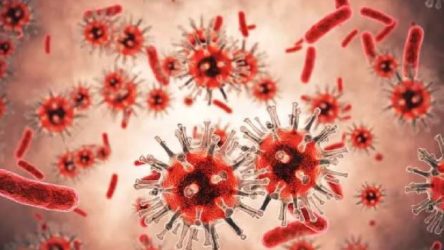 Mutasyona uğramış koronavirüsün hedefi 20 yaş altı