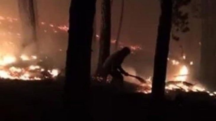 Kastamonu’da orman yangını