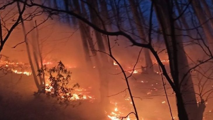 Orman yangını soruşturmasında 16 yaşında bir çocuk tutuklandı