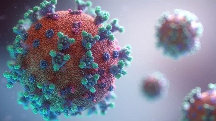 İki farklı koronavirüs mutasyonu daha tespit edildi