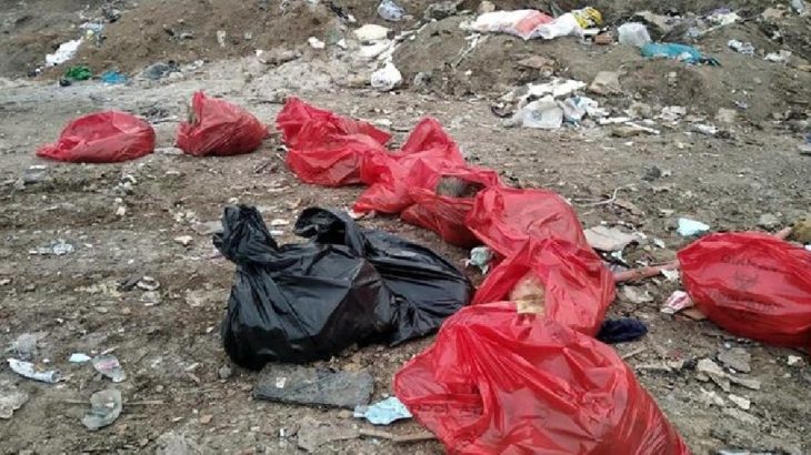 Ankara'da molozların arasında 20 ölü köpek bulundu