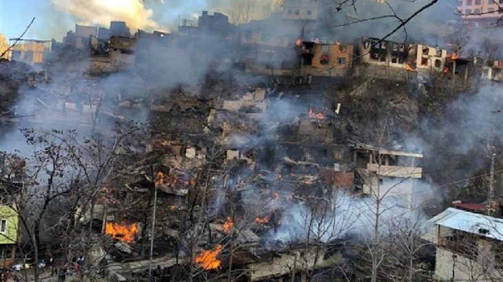 Artvin’de yangın: 35 bina, 60 ev yandı, 30'dan fazla hayvan yaşamını yitirdi