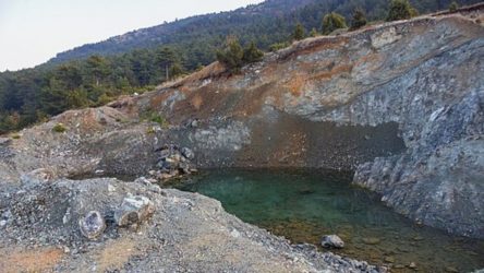 Maden projesi için en az 36 bin ağaç kesilecek