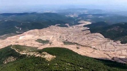 Siyanürle altın arama ruhsatının iptali için yurttaşlar dava açtı: En az 5 milyon ağaç kesilecek