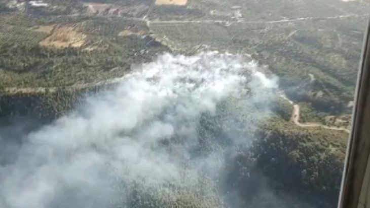 Bodrum'da orman yangını!