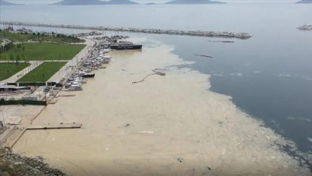 Marmara Denizi'nde müsilaj incelemesi yapıldı: Bu seneki manzarayı arayacağız