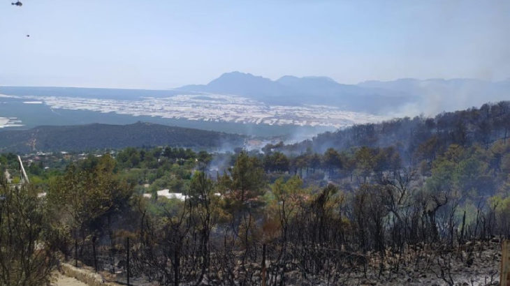 Kaş'taki yangında 55 dönüm ormanlık alan kül oldu