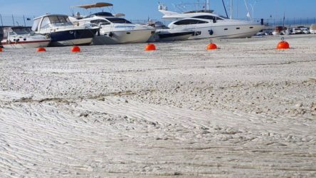 Marmara için acil eylem çağrısı: Deniz ölüyor, denizin zamanı kalmadı