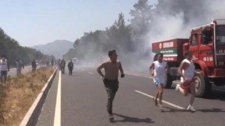 Muğla'da ormanlık alanda yangın: Otoyol trafiğe kapatıldı