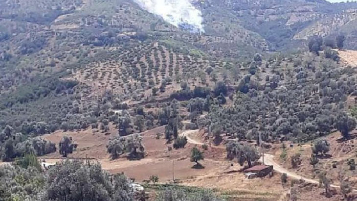 İzmir'de yangın çıktı