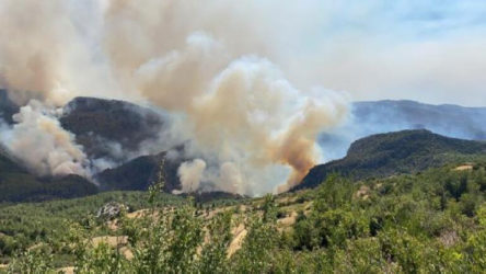 28-31 Temmuz tarihlerinden çıkan orman yangınlarında son durum