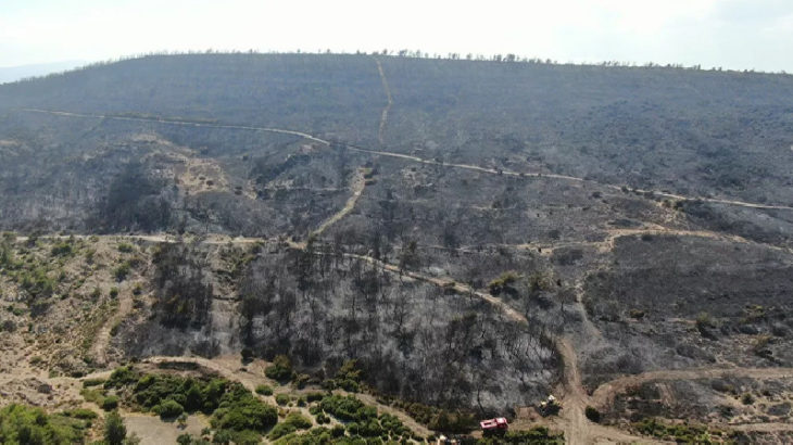 Türkiye'nin ciğerleri yanıyor: Foça'daki yangında 30 hektar ormanlık alan zarar gördü