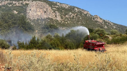 Kaş'ta yangın: 200 zeytin ağacı kül oldu