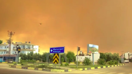 Manavgat'ta orman yangınlarının bilançosu: 7 insan ve 33 bin hayvan öldü, 60 bin hektar orman yandı