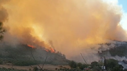 Osmaniye ve Mersin Aydıncık'ta çıkan orman yangınları kontrol altına alındı